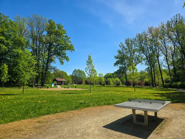 Yeşil ağaçlı, yürüyüş yollu ve bakımlı manzaralı huzurlu bir şehir parkı. Kentsel rahatlama, çevre dostu yaşam tarzları, şehir doğası ve halka açık alanlar için mükemmel bir örnektir. Görüntü sükuneti, temiz havayı taşır.