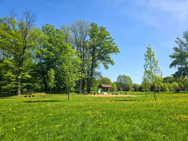 Yeşil ağaçlı, yürüyüş yollu ve bakımlı manzaralı huzurlu bir şehir parkı. Kentsel rahatlama, çevre dostu yaşam tarzları, şehir doğası ve halka açık alanlar için mükemmel bir örnektir. Görüntü sükuneti, temiz havayı taşır.