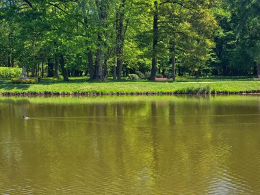 Güneşli bir günde yeşil arazide akan sakin bir nehir. Seyahat, doğa, rahatlama ve eko-temalı tasarımlar için ideal. Saf doğal güzellik ve huzurlu açık hava manzarası.. 