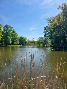 Etrafı ağaçlarla çevrili ve açık gökyüzü olan huzurlu nehir manzarası. Seyahat, doğa, rahatlama, eko-turizm ve refah temalı görsel içerik için ideal.