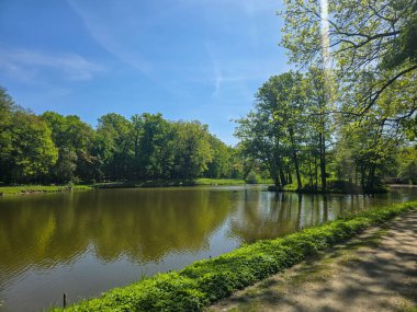 Güneşli bir günde yeşil arazide akan sakin bir nehir. Seyahat, doğa, rahatlama ve eko-temalı tasarımlar için ideal. Saf doğal güzellik ve huzurlu açık hava manzarası.. 