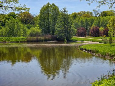 Güneşli bir günde yeşil arazide akan sakin bir nehir. Seyahat, doğa, rahatlama ve eko-temalı tasarımlar için ideal. Saf doğal güzellik ve huzurlu açık hava manzarası.. 