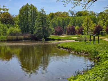 Güneşli bir günde yeşil arazide akan sakin bir nehir. Seyahat, doğa, rahatlama ve eko-temalı tasarımlar için ideal. Saf doğal güzellik ve huzurlu açık hava manzarası.. 