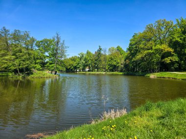 Güneşli bir günde yeşil arazide akan sakin bir nehir. Seyahat, doğa, rahatlama ve eko-temalı tasarımlar için ideal. Saf doğal güzellik ve huzurlu açık hava manzarası.. 