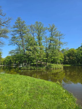 Güneşli bir günde yeşil arazide akan sakin bir nehir. Seyahat, doğa, rahatlama ve eko-temalı tasarımlar için ideal. Saf doğal güzellik ve huzurlu açık hava manzarası.. 