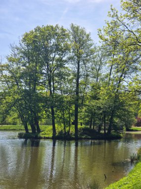 Etrafı ağaçlarla çevrili ve açık gökyüzü olan huzurlu nehir manzarası. Seyahat, doğa, rahatlama, eko-turizm ve refah temalı görsel içerik için ideal.