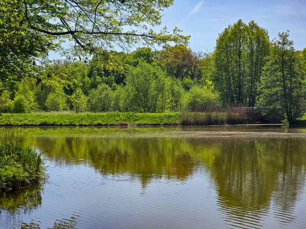 Güneşli bir günde yeşil arazide akan sakin bir nehir. Seyahat, doğa, rahatlama ve eko-temalı tasarımlar için ideal. Saf doğal güzellik ve huzurlu açık hava manzarası.. 