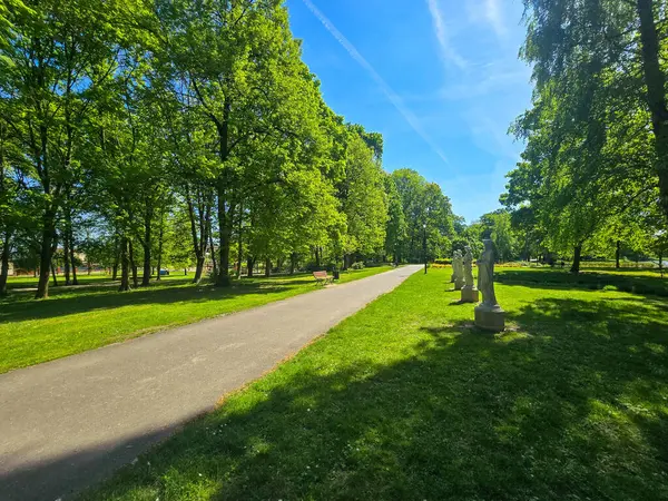 Çevresi yeşilliklerle çevrili manzaralı bir parkta kıvrımlı yürüyüş yolları. Boş zaman, şehir doğası, açık hava aktiviteleri veya çevre dostu şehir tasarımı kavramları için idealdir..