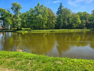 Güneşli bir günde yeşil arazide akan sakin bir nehir. Seyahat, doğa, rahatlama ve eko-temalı tasarımlar için ideal. Saf doğal güzellik ve huzurlu açık hava manzarası.. 