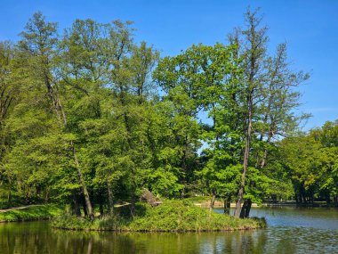 Güneşli bir günde yeşil arazide akan sakin bir nehir. Seyahat, doğa, rahatlama ve eko-temalı tasarımlar için ideal. Saf doğal güzellik ve huzurlu açık hava manzarası.. 