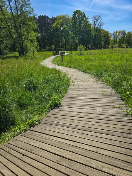 Çevresi yeşilliklerle çevrili manzaralı bir parkta kıvrımlı yürüyüş yolları. Boş zaman, şehir doğası, açık hava aktiviteleri veya çevre dostu şehir tasarımı kavramları için idealdir..