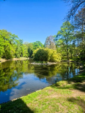 Yeşil bir bahar parkında kıvrılan sakin bir nehir. Doğa, açık hava eğlencesi, manzara ve eko-turizm için idealdir.