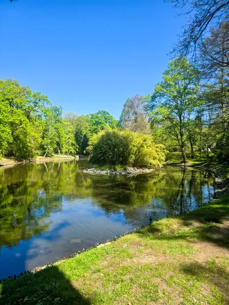 Yeşil bir bahar parkında kıvrılan sakin bir nehir. Doğa, açık hava eğlencesi, manzara ve eko-turizm için idealdir.