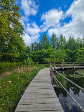 Bir orman göletinin kenarındaki yemyeşil alanda süzülen ahşap patika. Huzurlu yaz doğası, eko-turizm, koruma, rahatlama ve manzaralı doğa yürüyüşleri gibi konular için idealdir..