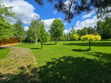Solunda kozalaklı ağaçların yoğun olduğu bahar manzarası ve sağında yaprak döken ağaçlarla açık bir park. Canlı yeşil çimenler, mavi gökyüzü ve bulutlar kontrastı ve doğal dengeyi artırır.