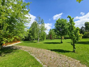 Solunda kozalaklı ağaçların yoğun olduğu bahar manzarası ve sağında yaprak döken ağaçlarla açık bir park. Canlı yeşil çimenler, mavi gökyüzü ve bulutlar kontrastı ve doğal dengeyi artırır.