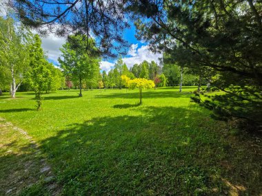 Solunda kozalaklı ağaçların yoğun olduğu bahar manzarası ve sağında yaprak döken ağaçlarla açık bir park. Canlı yeşil çimenler, mavi gökyüzü ve bulutlar kontrastı ve doğal dengeyi artırır.