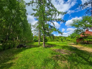 Karanlık ve yeşil ormandan açık yeşil gökyüzünün altındaki parlak yaprak döken parka canlı bir geçiş. Yeşillik ve ışığın karşıtlığı mevsimsel değişimi ve doğal uyumu sembolize eder..