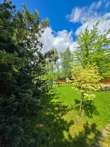 Solunda kozalaklı ağaçların yoğun olduğu bahar manzarası ve sağında yaprak döken ağaçlarla açık bir park. Canlı yeşil çimenler, mavi gökyüzü ve bulutlar kontrastı ve doğal dengeyi artırır.