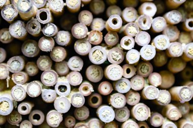 Doğal malzemeli ahşap böcek evi, biyolojik çeşitliliği destekliyor. Bahçe işleri, sürdürülebilirlik ve eko-tasarım projeleri için mükemmel.