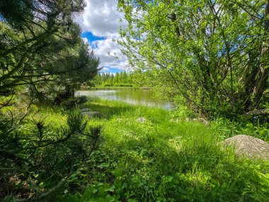 Parlak mavi gökyüzünün altında nefes kesici bir göl manzarası. Kristal berrak su, yemyeşil kıyılar ve mükemmel yansımalar. Seyahat, reklam, web siteleri ve duvar kağıtları için ideal. Yüksek kalite, doğal güzellik.