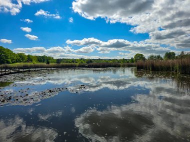 Çiçekli nilüferlerle güzel güneşli göl manzarası. Web siteleri, reklamlar, posterler ve medya için mükemmel. Yüksek kalite, doğal renkler, dingin atmosfer
