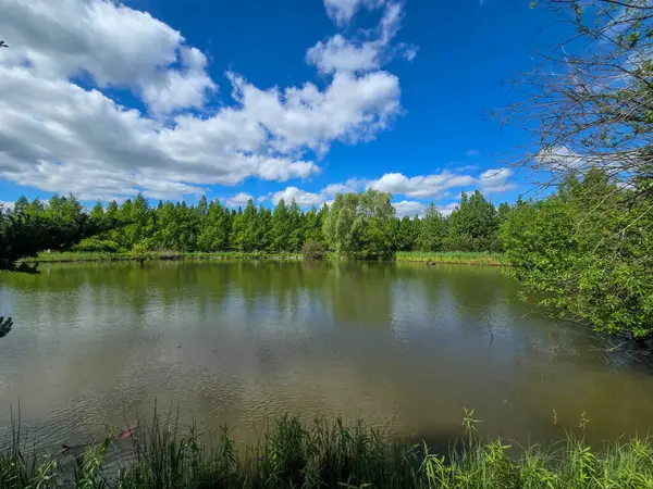 Parlak mavi gökyüzünün altında nefes kesici bir göl manzarası. Kristal berrak su, yemyeşil kıyılar ve mükemmel yansımalar. Seyahat, reklam, web siteleri ve duvar kağıtları için ideal. Yüksek kalite, doğal güzellik.