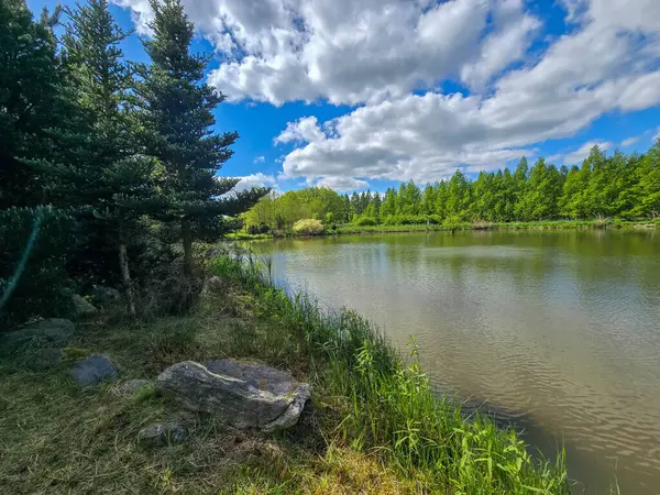 Parlak mavi gökyüzünün altında nefes kesici bir göl manzarası. Kristal berrak su, yemyeşil kıyılar ve mükemmel yansımalar. Seyahat, reklam, web siteleri ve duvar kağıtları için ideal. Yüksek kalite, doğal güzellik.