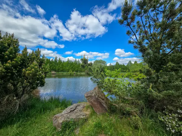 Parlak mavi gökyüzünün altında nefes kesici bir göl manzarası. Kristal berrak su, yemyeşil kıyılar ve mükemmel yansımalar. Seyahat, reklam, web siteleri ve duvar kağıtları için ideal. Yüksek kalite, doğal güzellik.