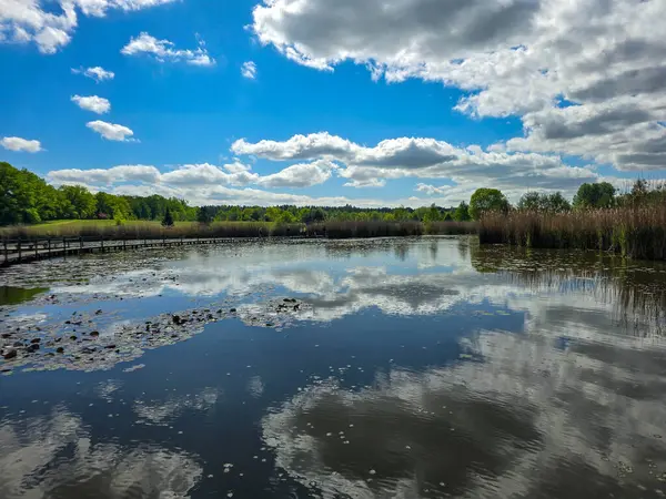 Çiçekli nilüferlerle güzel güneşli göl manzarası. Web siteleri, reklamlar, posterler ve medya için mükemmel. Yüksek kalite, doğal renkler, dingin atmosfer