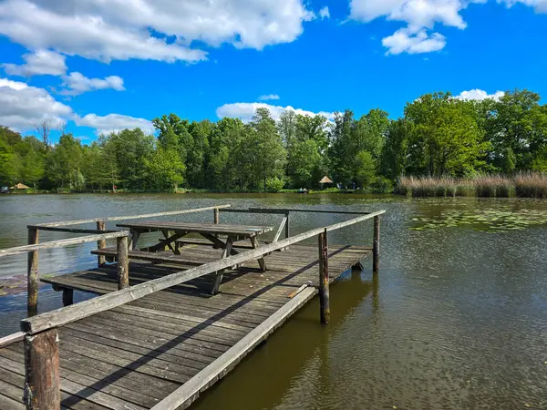 Çiçekli nilüferlerle güzel güneşli göl manzarası. Web siteleri, reklamlar, posterler ve medya için mükemmel. Yüksek kalite, doğal renkler, dingin atmosfer