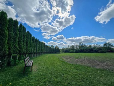 Botanik bahçesindeki egzotik bitkilerin arasında huzurlu bir dinlenme alanı. Turizm reklamları, kentsel rahatlama ve peyzaj tasarım kavramları için mükemmel. Rahat banklar, gölgeli yürüyüş yolları, huzurlu bir atmosfer.