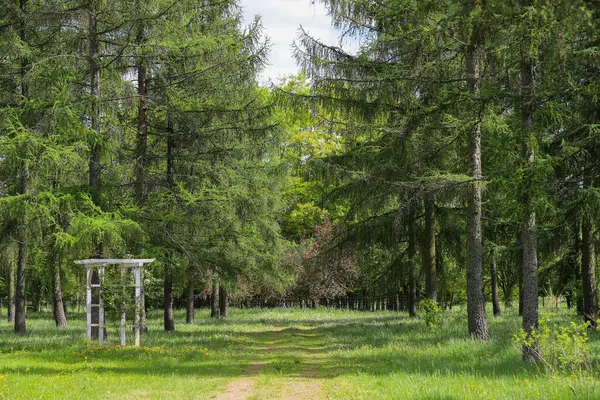 Beyaz çiçekli, kemerli resmedilmiş bahçe manzarası. Düğünler, manzara tasarımı ve dekor için mükemmel. Yüksek kalite, yumuşak ışık, uyum ve güzellik ortamı.