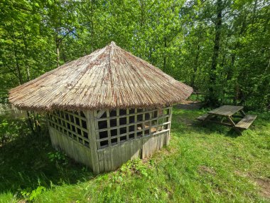 Yeşilliklerle çevrili doğal sazdan çatılı büyüleyici bir çardak. Country tarzı projeler, eko-tatil beldeleri ve peyzaj tasarımı için mükemmel. Sıcak atmosfer, taşra tarzı, doğayla bütünlük..