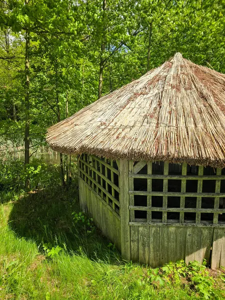 Yeşilliklerle çevrili doğal sazdan çatılı büyüleyici bir çardak. Country tarzı projeler, eko-tatil beldeleri ve peyzaj tasarımı için mükemmel. Sıcak atmosfer, taşra tarzı, doğayla bütünlük..