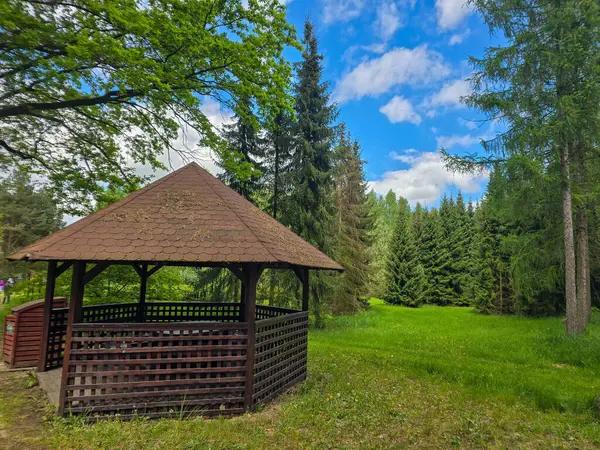 Ağaçlar ve çiçeklerle çevrili güzel bir park çardağı. Manzara tasarımı, turizm ve kentsel gelişim projeleri için mükemmel. Uyumlu atmosferi olan rahat dinlenme yeri.