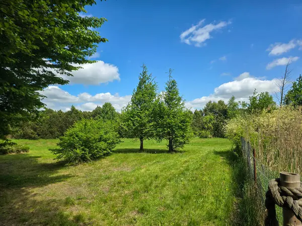 Sokak araları, çimenler ve süs bitkileriyle iyi korunmuş park manzarası. Turizm projeleri, kentsel gelişim ve eğlence reklamları için mükemmel. Yüksek kalite, doğal renkler, barışçıl atmosfer