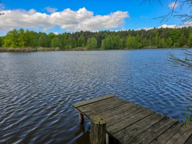 Botanik Bahçesi 'nin manzaralı gölleri güneş ışığıyla yıkandı. Doğa, seyahat ve sağlık projeleri için mükemmel. Kristal su, ağaç yansımaları ve sakin atmosfer..