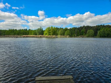 Botanik Bahçesi 'nin manzaralı gölleri güneş ışığıyla yıkandı. Doğa, seyahat ve sağlık projeleri için mükemmel. Kristal su, ağaç yansımaları ve sakin atmosfer..