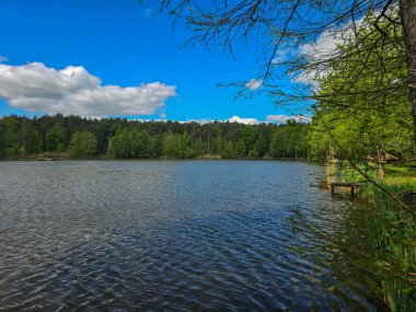 Botanik Bahçesi 'nin manzaralı gölleri güneş ışığıyla yıkandı. Doğa, seyahat ve sağlık projeleri için mükemmel. Kristal su, ağaç yansımaları ve sakin atmosfer..