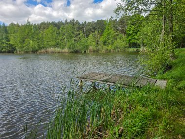 Botanik Bahçesi 'nin manzaralı gölleri güneş ışığıyla yıkandı. Doğa, seyahat ve sağlık projeleri için mükemmel. Kristal su, ağaç yansımaları ve sakin atmosfer..