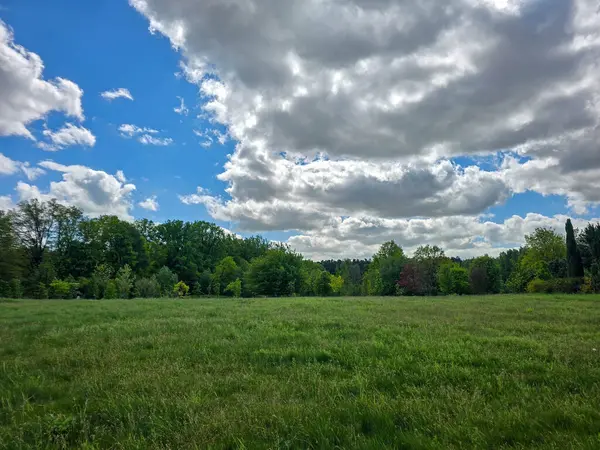 Mükemmel güneşli gün manzarası yemyeşil, mavi gökyüzü ve manzaralı. Doğa, seyahat ve sağlık projeleri için ideal.