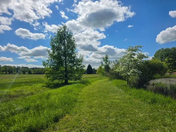 Mükemmel güneşli gün manzarası yemyeşil, mavi gökyüzü ve manzaralı. Doğa, seyahat ve sağlık projeleri için ideal.