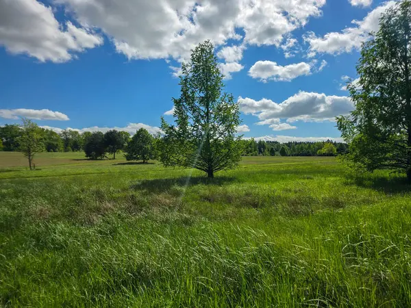 Mükemmel güneşli gün manzarası yemyeşil, mavi gökyüzü ve manzaralı. Doğa, seyahat ve sağlık projeleri için ideal.