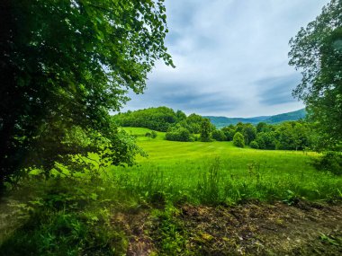 İlham verici doğa manzaraları. Tasarım, reklam ve yaratıcı projeler için mükemmel. Ormanlar, dağlar, nehirler ve tarlalar Her karede yaşayan güzellik