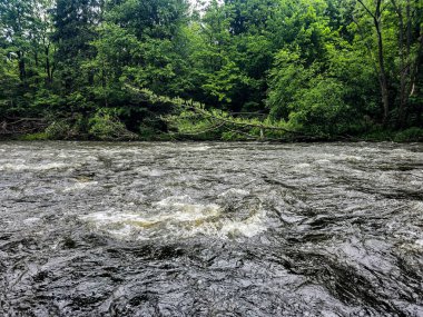 Öfkeli bir nehrin enerjisi ve gücü dinamik çekimlerde. Ekstrem sporlar, doğa ve temel güç projeleri için mükemmel. Kalite suyun tüm gücünü yakalar.