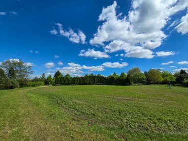 Mükemmel güneşli gün manzarası yemyeşil, mavi gökyüzü ve manzaralı. Doğa, seyahat ve sağlık projeleri için ideal.