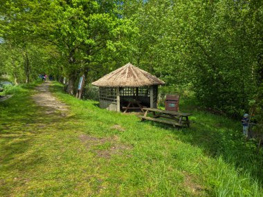 Yeşilliklerle çevrili doğal sazdan çatılı büyüleyici bir çardak. Country tarzı projeler, eko-tatil beldeleri ve peyzaj tasarımı için mükemmel. Sıcak atmosfer, taşra tarzı, doğayla bütünlük..