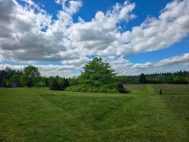 Mükemmel güneşli gün manzarası yemyeşil, mavi gökyüzü ve manzaralı. Doğa, seyahat ve sağlık projeleri için ideal.