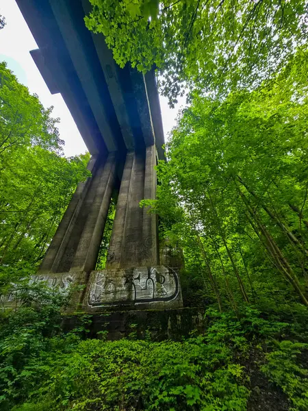 Vahşi ormanın kalbinde gizemli bir beton sütun. Doğa ve medeniyetin zıttı. Kentleşme, terk edilmiş yerler ve ekolojik kavramlarla ilgili projeler için mükemmel.. 